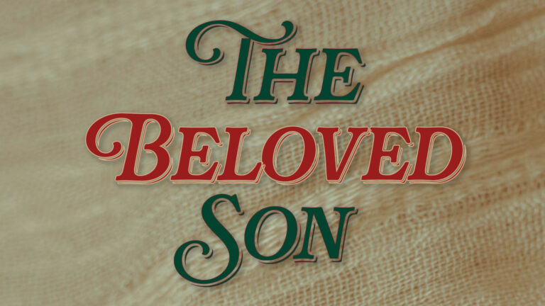 One and Only Son