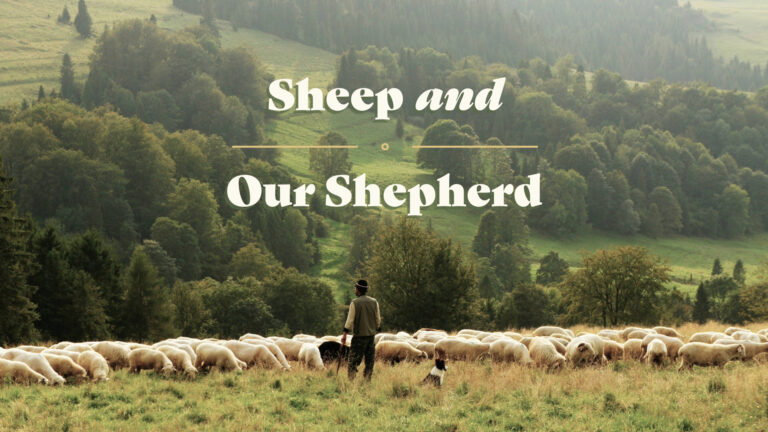 Our Chief Shepherd