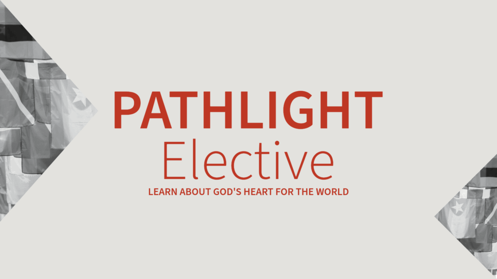 PATHLIGHT BANNER